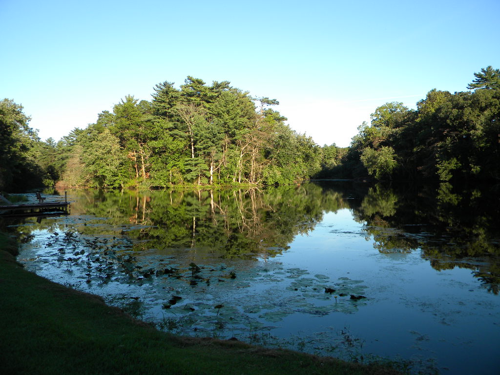 Wide view of Cobb’s Mill Lake in Salem County, NJ, with glassy reflections of forest and a clear blue sky on the cold, spring-fed man-made lake.