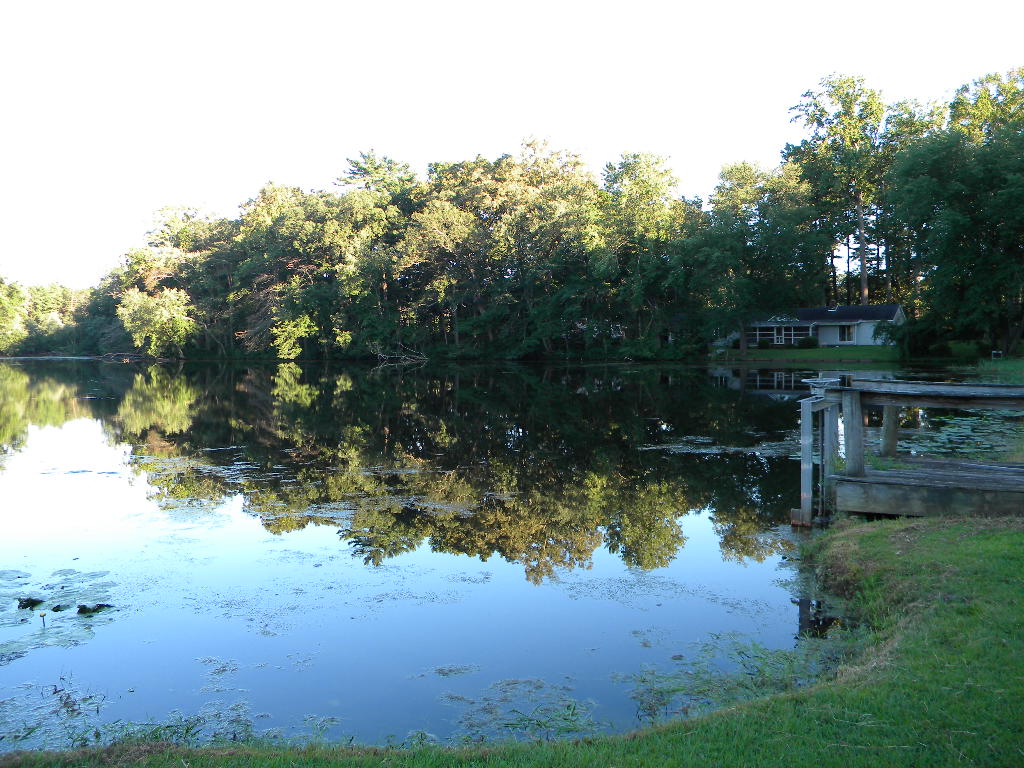 Calm water at Cobb’s Mill Lake in Alloway Township, New Jersey, reflecting trees along the shoreline near a small dock on the privately owned, spring-fed reservoir.