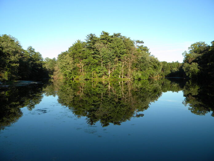 Panoramic scene of Cobb’s Mill Lake in Salem County, New Jersey, showing a tranquil, mirror-like reflection of the forested shoreline and open sky.