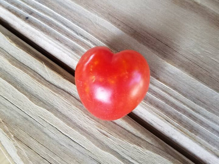 Fresh Jersey Tomatoes Year Round Recipe