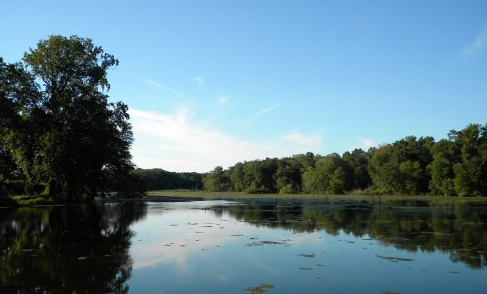 Bostwick Lake featured image. The Lakes of Salem County by Zachary Ahl