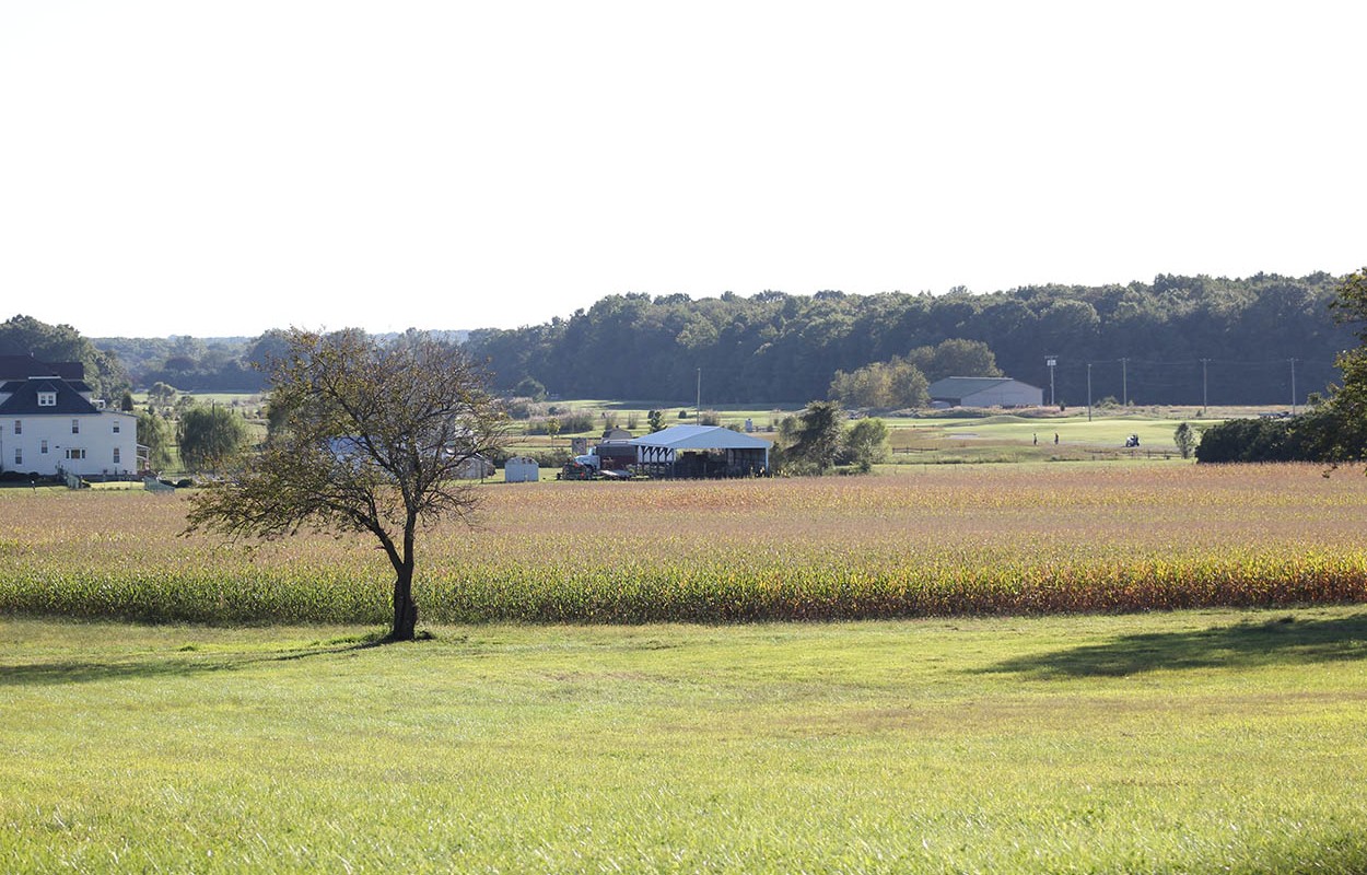 Photo of the many open spaces of Pilesgrove Township, NJ | Pilesgrove Local Edition Featured Image The News of Salem County