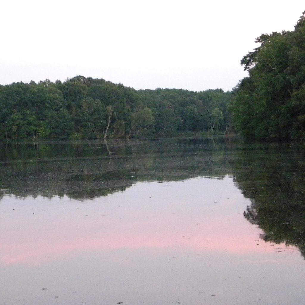 Quinton Lake/Pond aka Laurel Lake on a late summer's afternoon