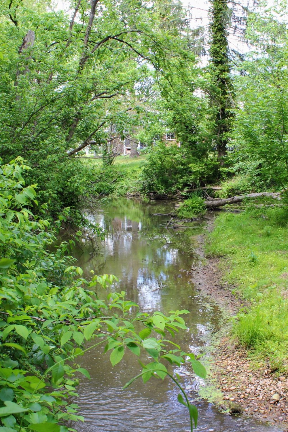 Stream heading west towards Memorial Lake in Woodstown.