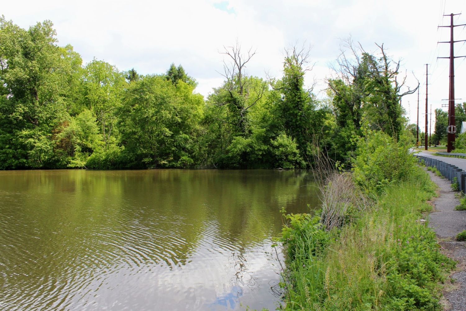 Shores of East Lake.