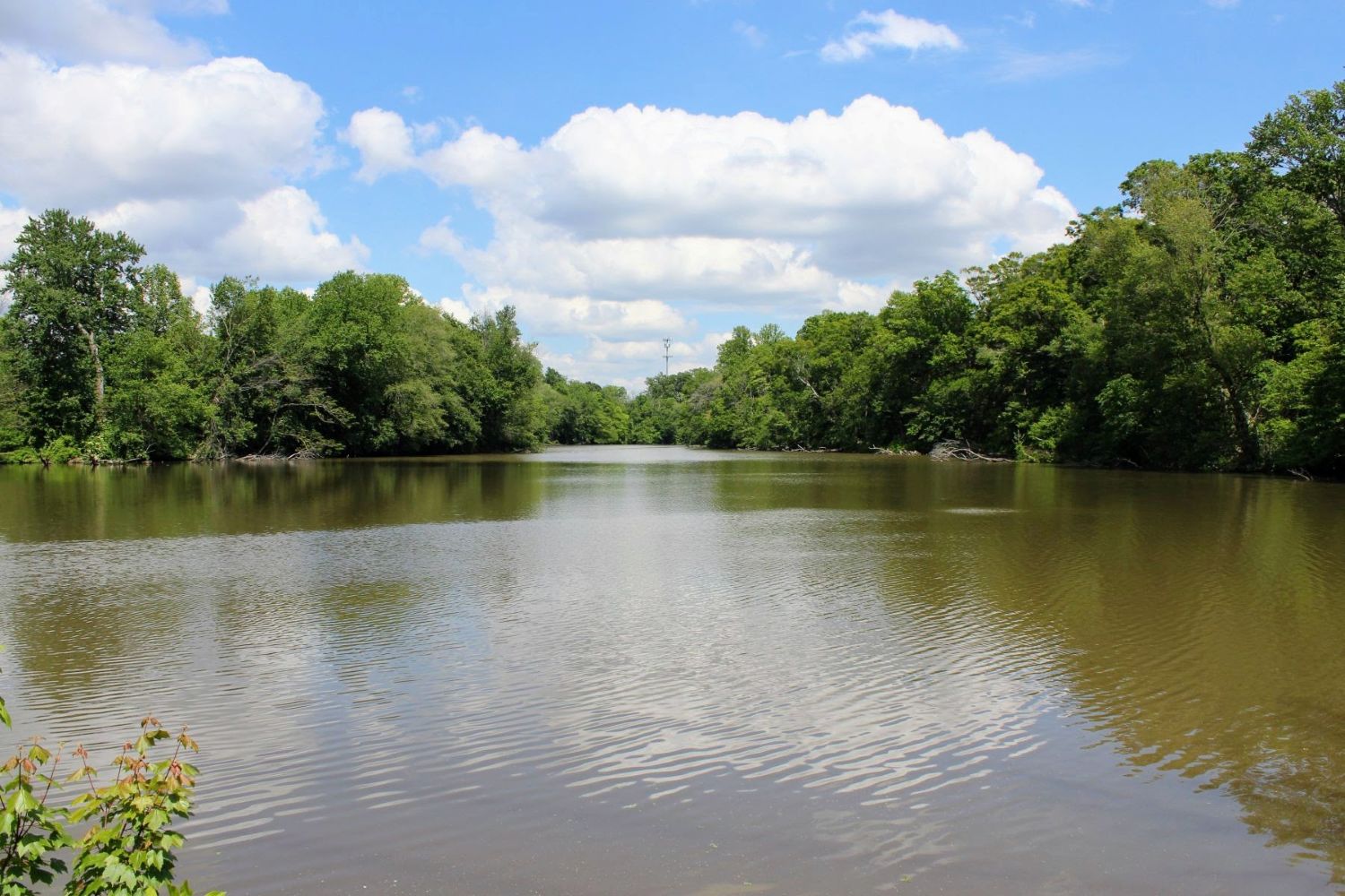 East Lake in Pilesgrove Twp. | Lakes of Salem County Series