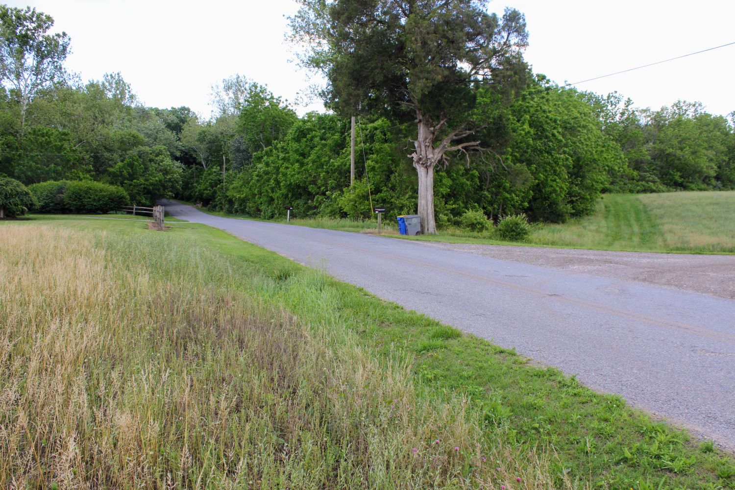 Photo taken on the northwestern side of Swedes Run with the bridge down the hill in the distance