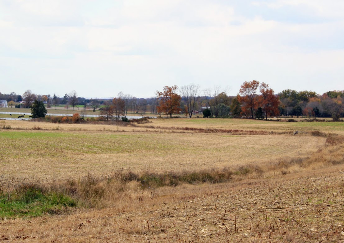 Fenwick’s Soil: The Enduring Ecological Tapestry of Salem County