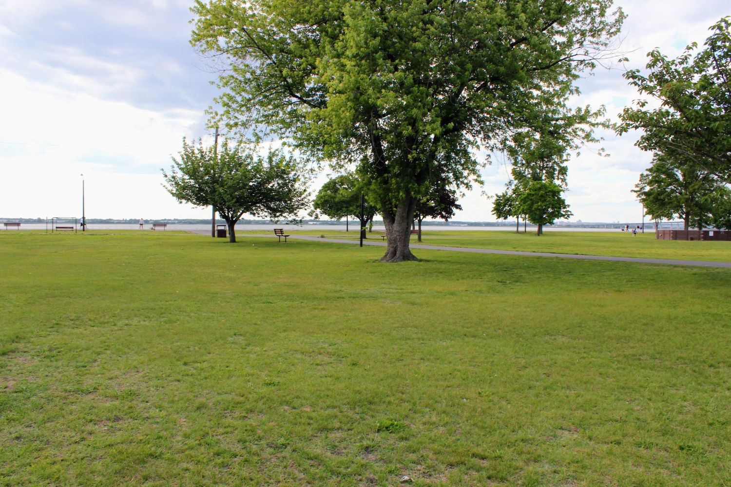 Beautiful Open Space at the Park