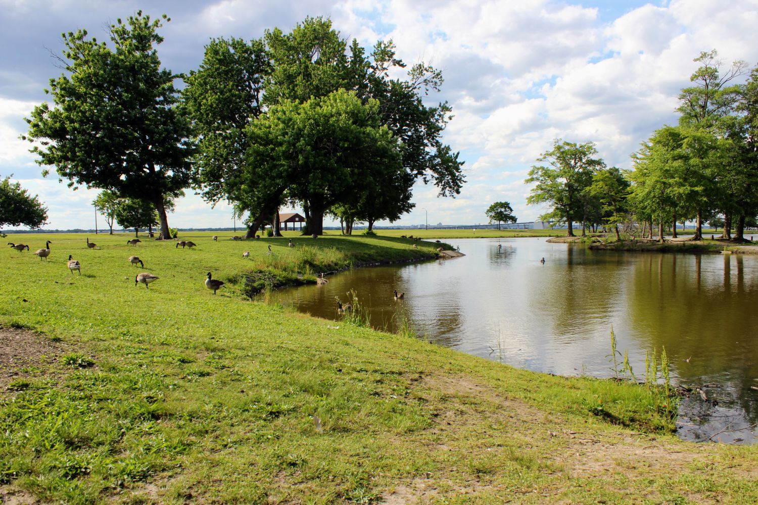 Edges of Riverview Pond