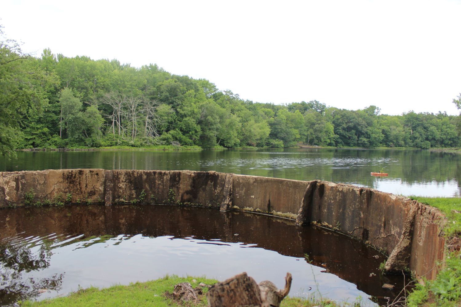 The Curved Concrete Dam Wall: An up-close look at the sweeping, weathered concrete wall that acts as the primary impoundment barrier for Elkinton Millpond. The unique curvature of this historic structure helps distribute water pressure and manage retention levels within the upper reaches of the local watershed.
