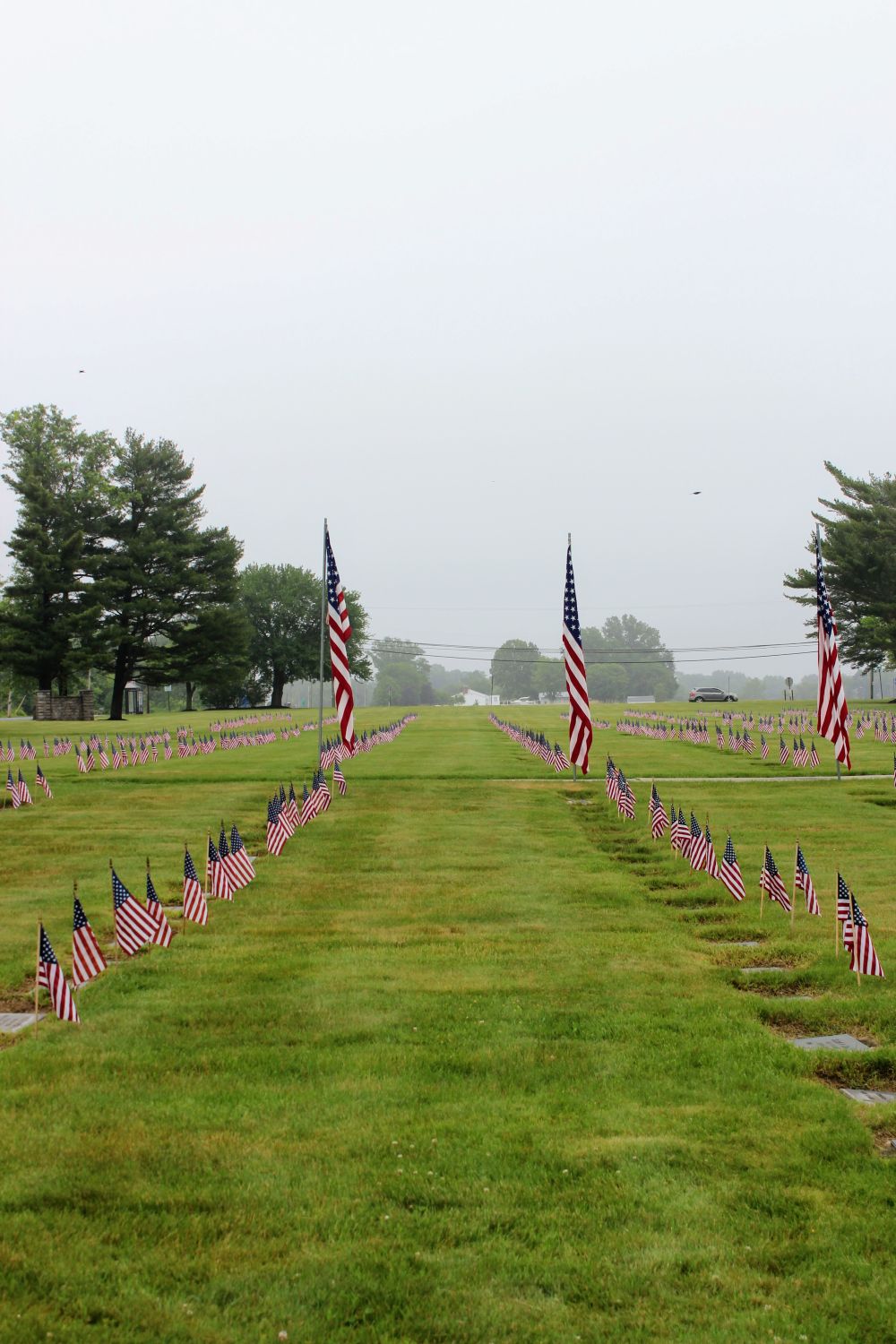 Long lines of Flags mark the graves of Veterans