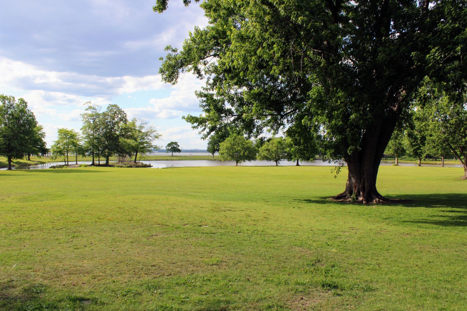 Open Spaces and  Riverview Pond
