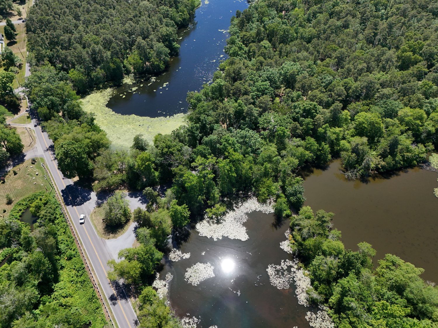 Thundergust Lake and Parvin Lake where they run near another