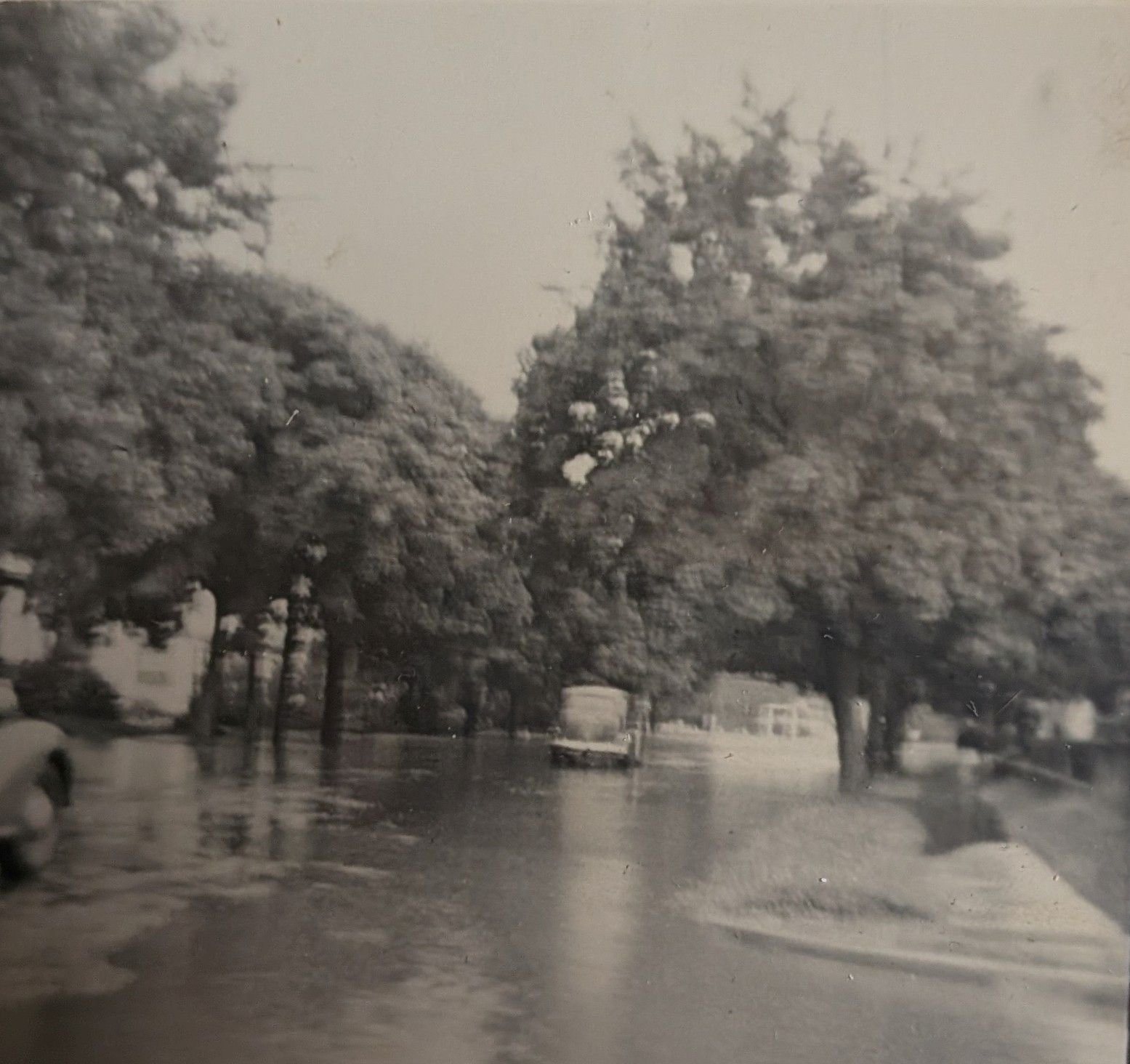 1940 Flood coming from Alloway to Woodstown with Memorial Lake in the back left showing the area photo from the personal collections of Zachary Ahl