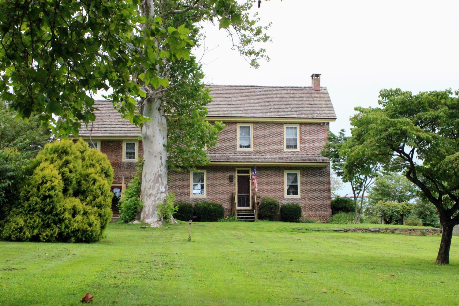 Angled front-left view, largely obscured by one of the mature buttonwood trees close to the camera.