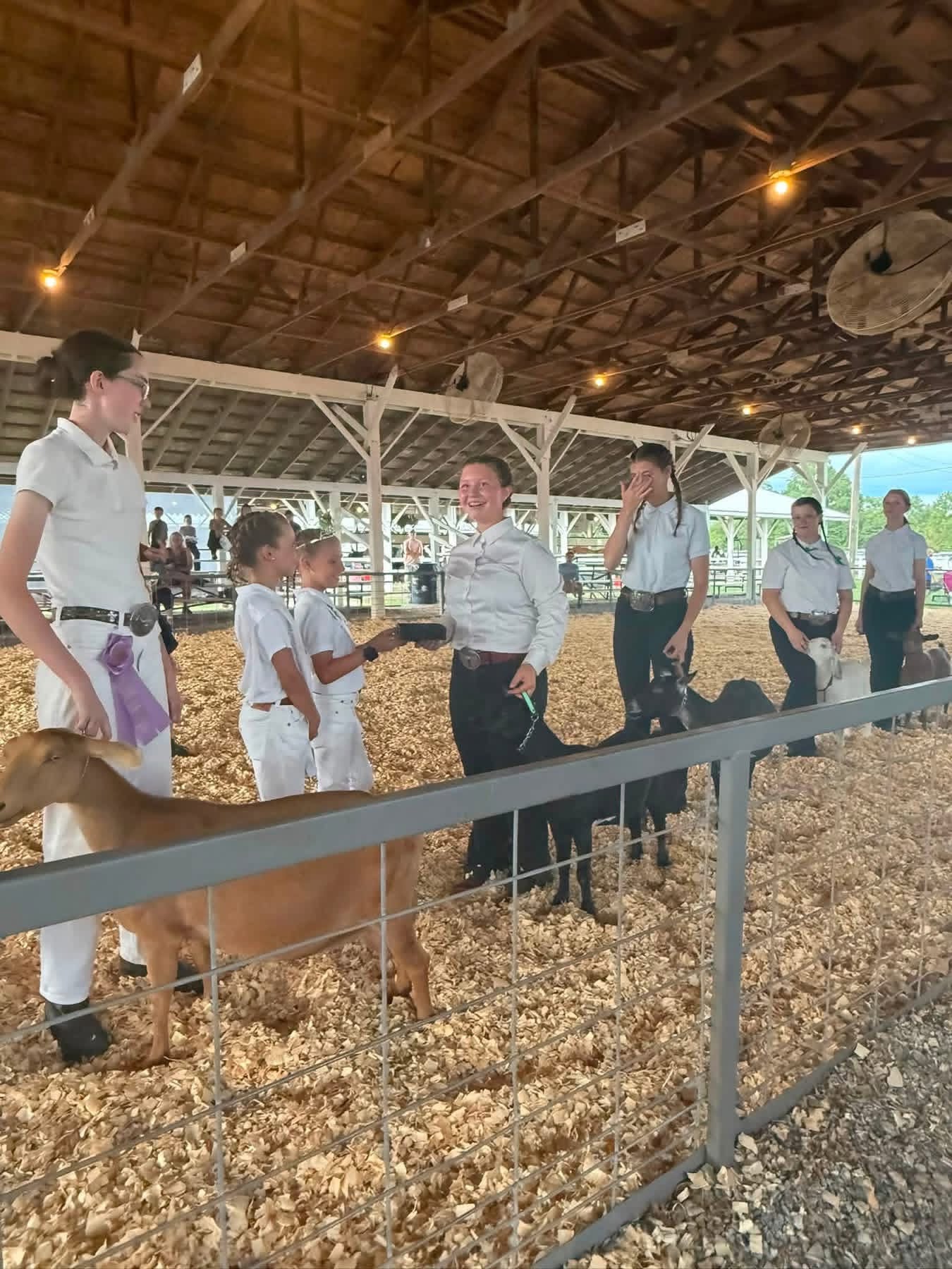 Goat Best Sr. Showmanship and Overall was Izzy Carlson