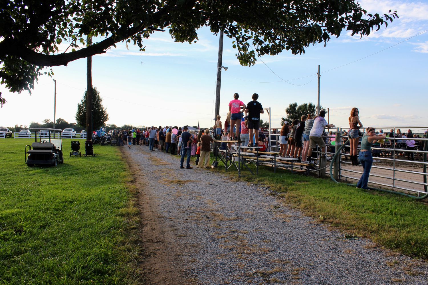 Large Crowd Watching the youngsters ride Sheep