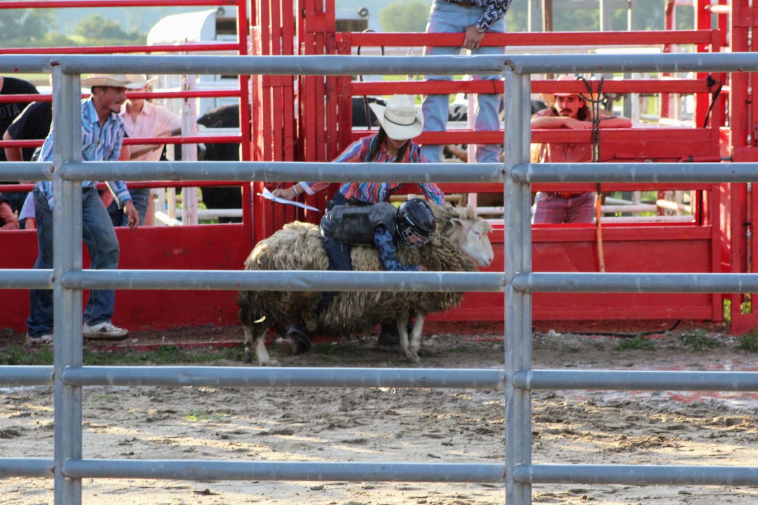 Ride her Cowboy