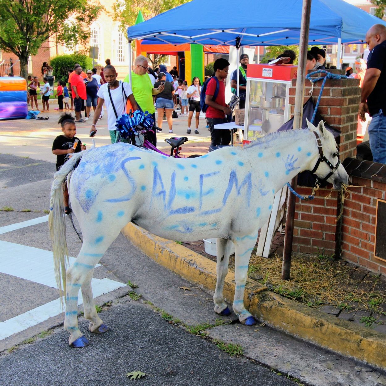 Salem the Donkey