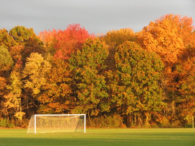 Behind Penns Grove High by Alsion Bohn