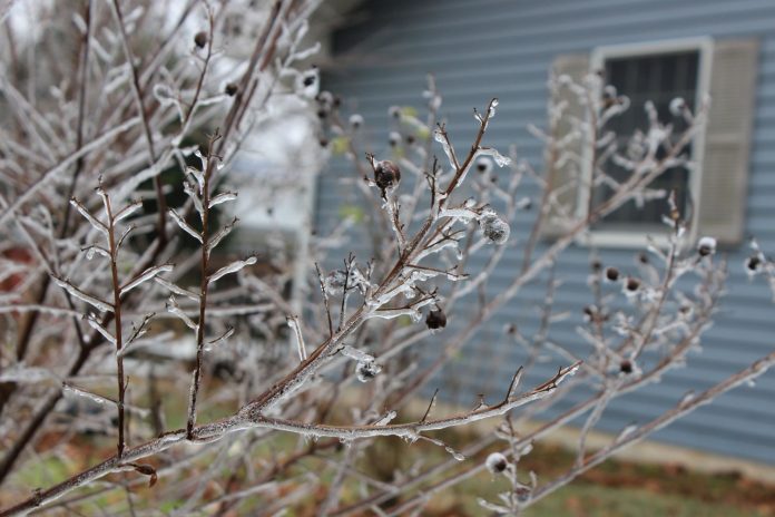 Bill would give $60M in state aid to NJ farmers who lost crops in April freeze