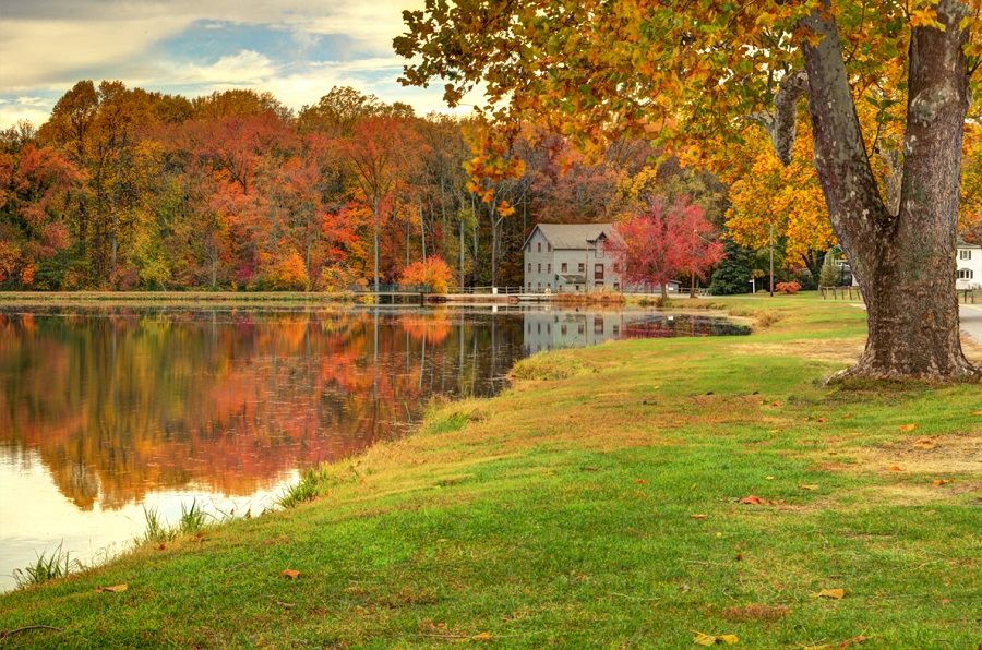 Daretown Lake by Time Elmer