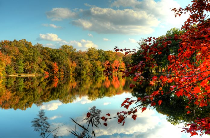 Elkington Mill Pond by Tim Elmer Elkington Mill Pond by Tim Elmer