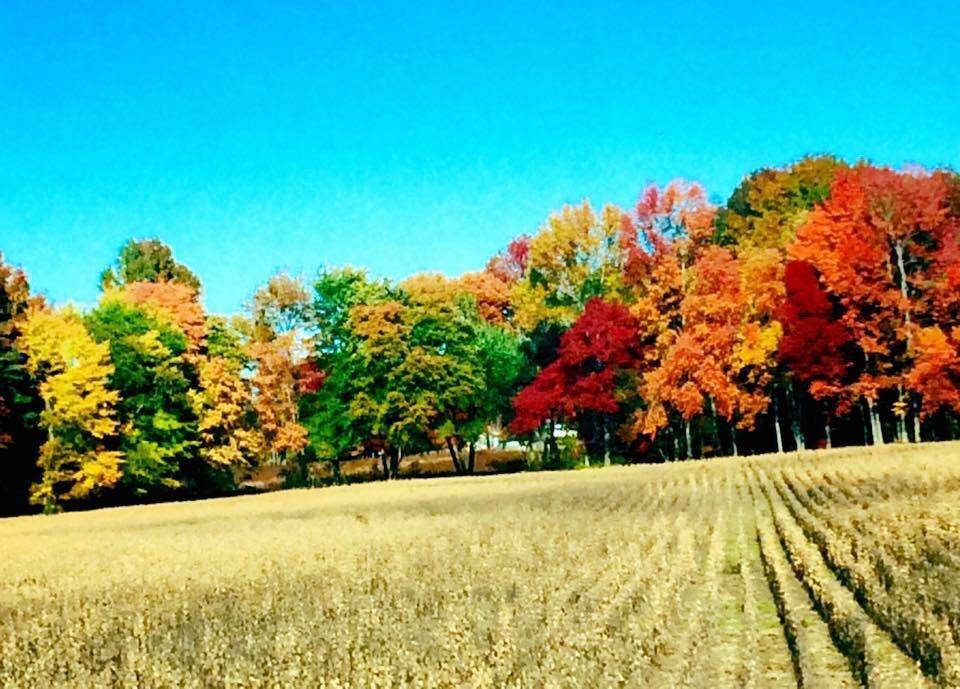 Fall in Love with Pennsville and Carneys Point by Erin Albritton