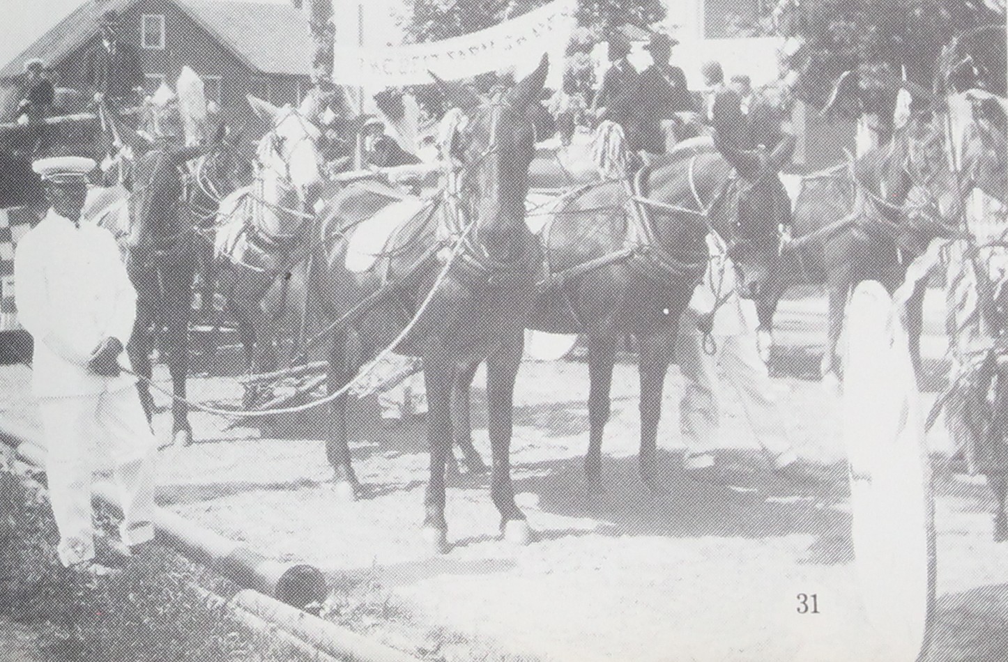Hiresdale Float." The photograph catches the team rather than the wagon; horses stand harnessed and waiting, a man in white holds the near one, and a banner is strung above the crowd behind, too faint in the printing to read. (How Dear to My Heart, p. 31)