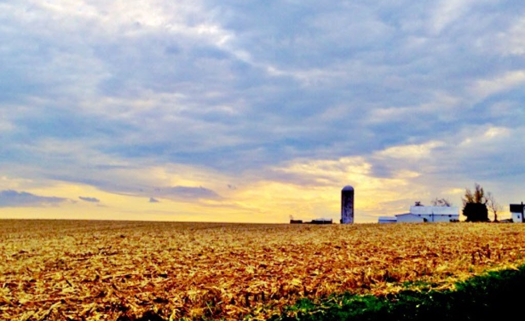 Field with Silo Laurie McQuire