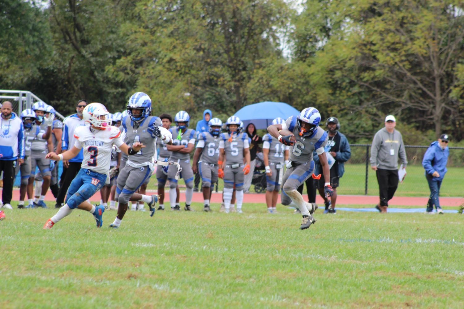 No. 6 Cashmir Parsley cuts for a long run