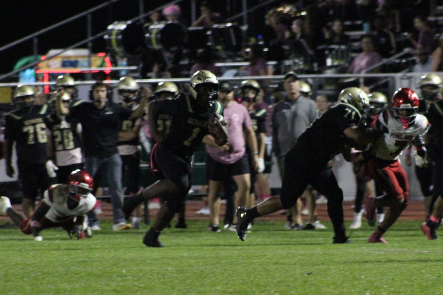 Schalick's Bartee in the open field