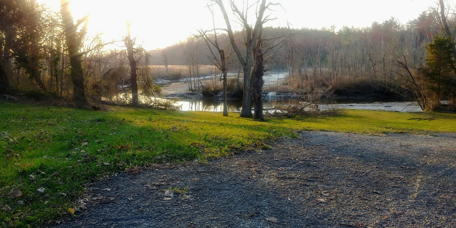 Sunlight filtering through bare trees onto a grassy lawn leading toward a calm river and forested hill