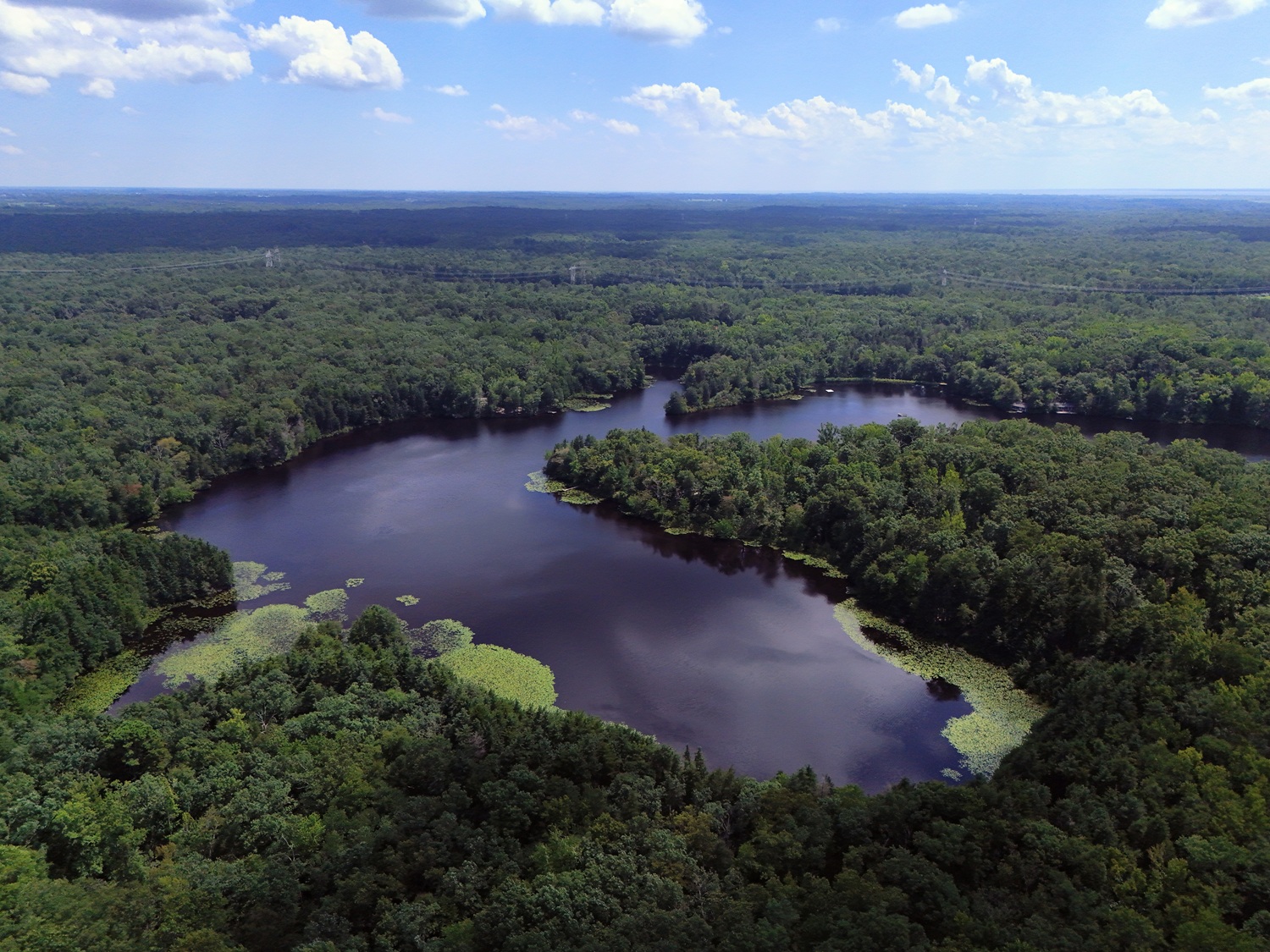 Woodmere Lake with Jericho Road to the distant right side out of the photo