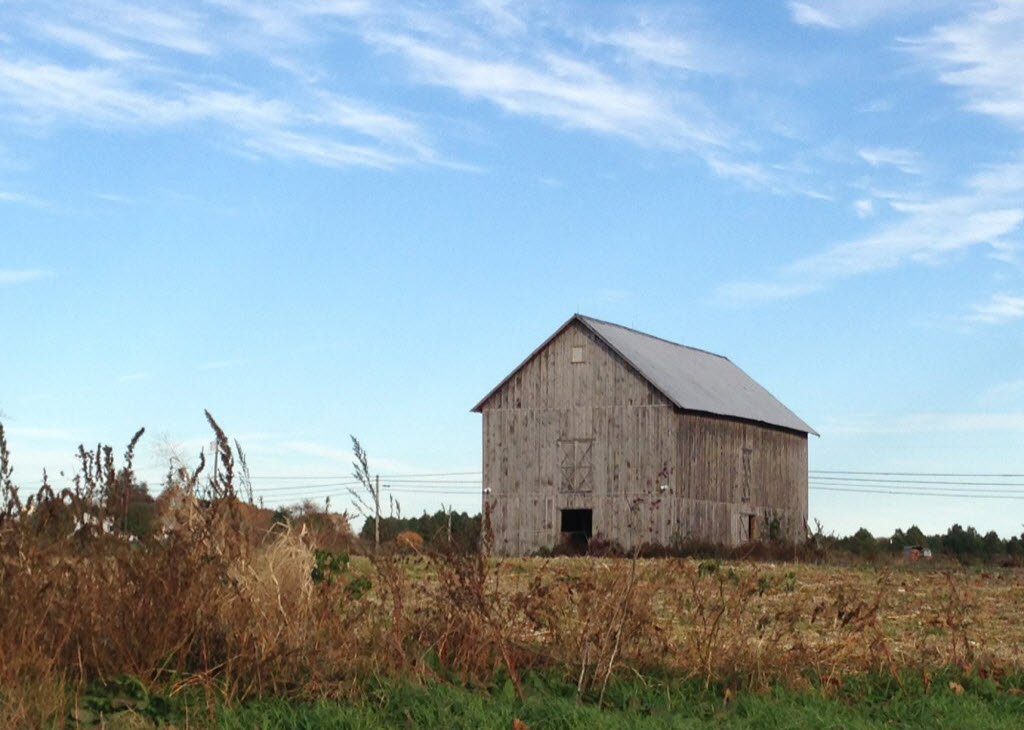 Old Barn by Laurie Mcquire