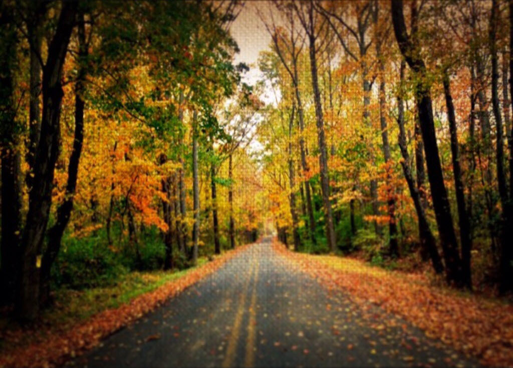 Industrial park Road by Laurie Mcquire